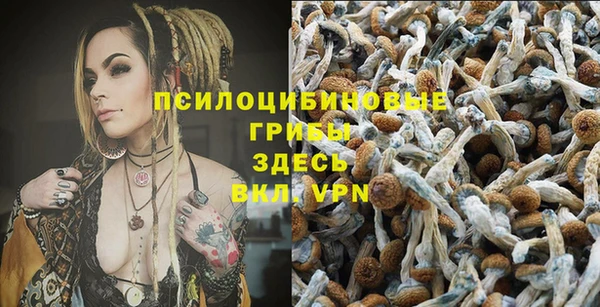 стафф Армянск